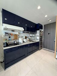 Riverfront Residences (D19), Apartment #502264961